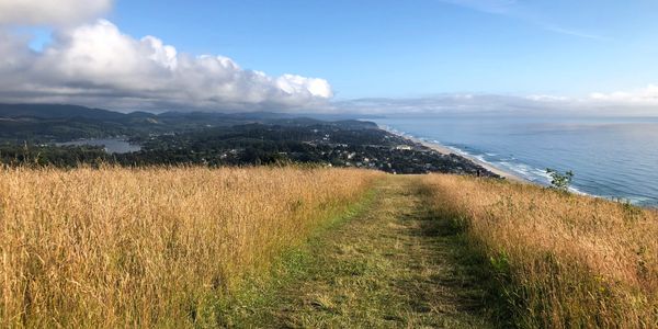 Path through grassy hill overlooking coastline and ocean.